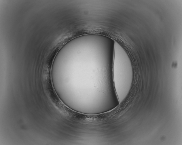 X0000095880744200801110804