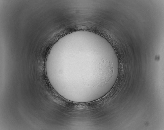 X0000095880745200801110804