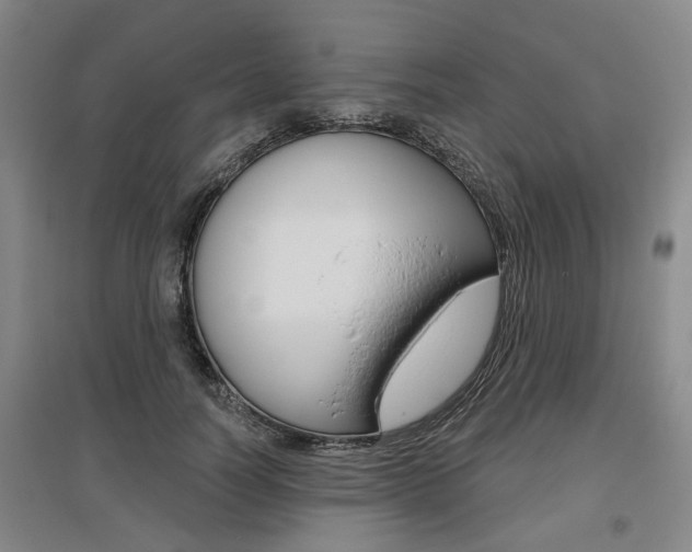 X0000095880746200801110804