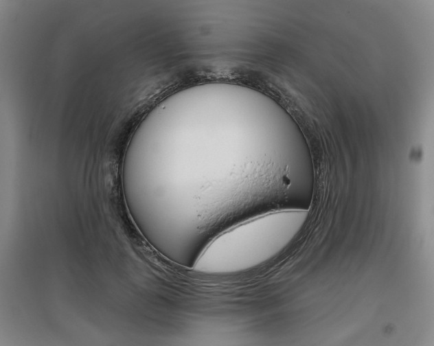 X0000095880747200801110804