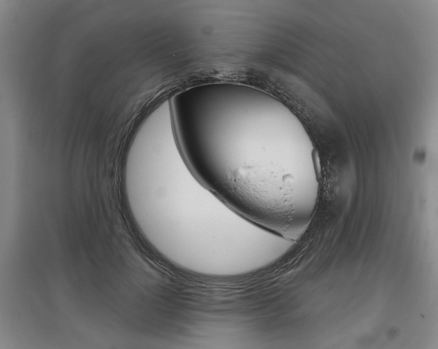 X0000095880748200801110804