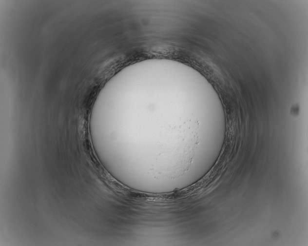 X0000095880749200801110804