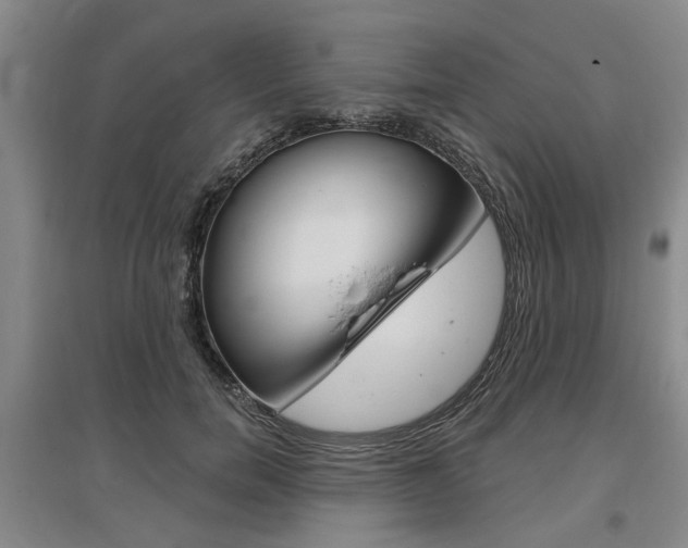 X0000095880750200801110804