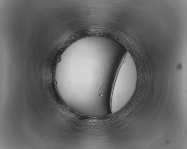 X0000095880751200801110804