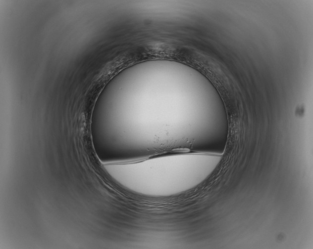X0000095880752200801110804