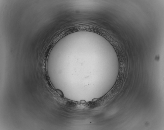X0000095880753200801110804
