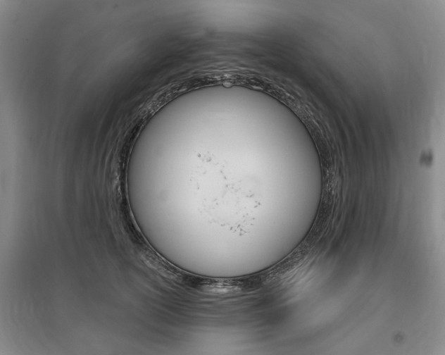 X0000095880754200801110804
