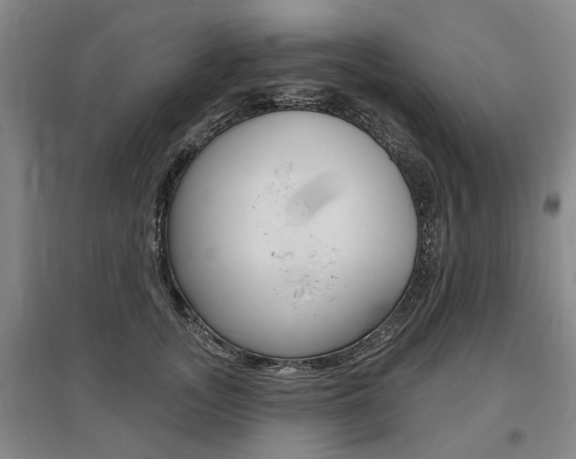 X0000095880755200801110804