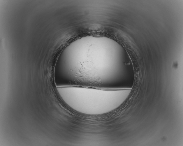 X0000095880756200801110804