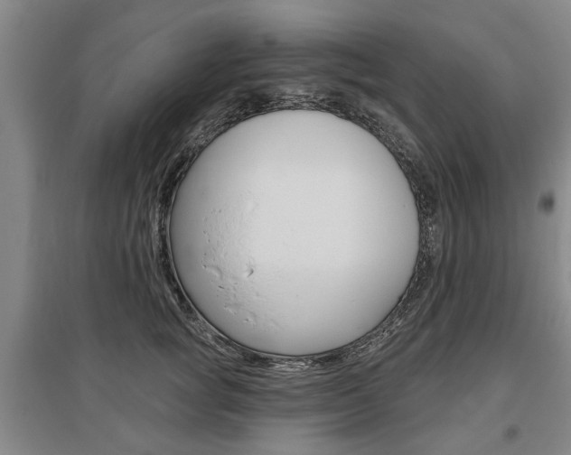 X0000095880757200801110804