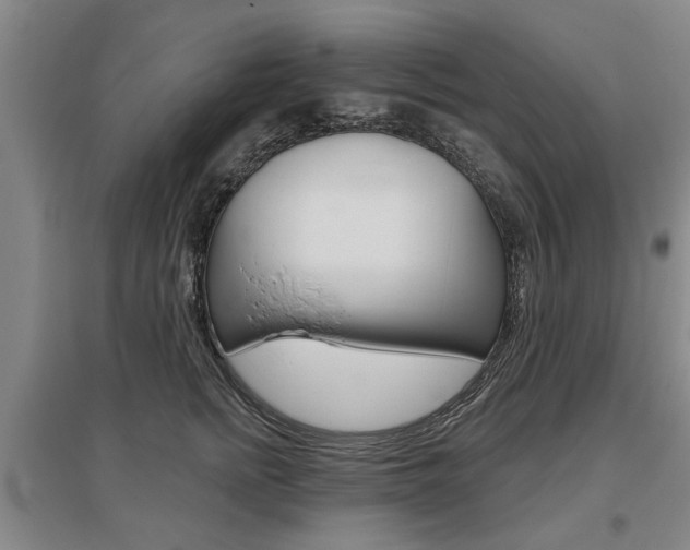 X0000095880758200801110804