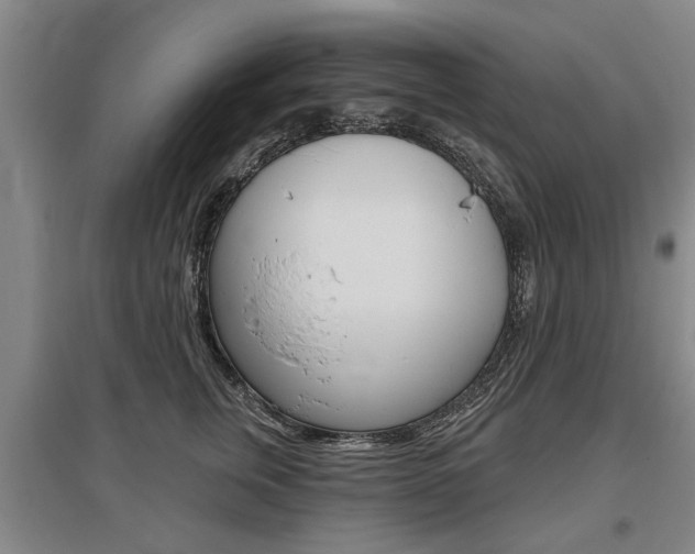 X0000095880759200801110804