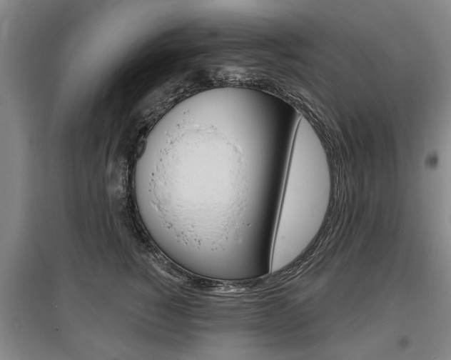 X0000095880760200801110804