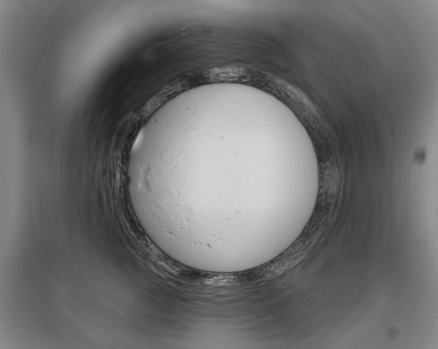X0000095880761200801110804