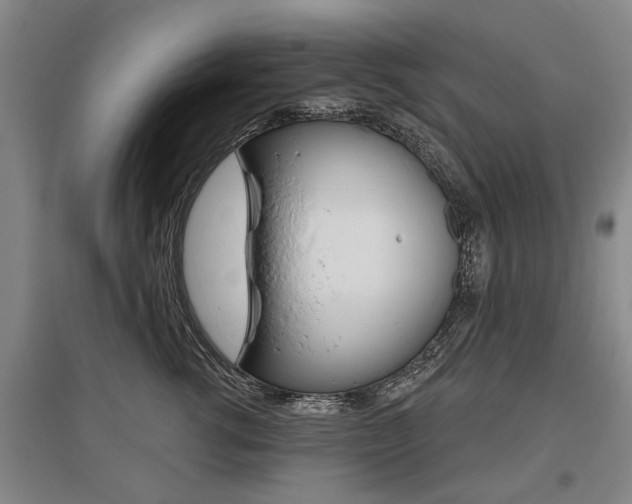 X0000095880762200801110804