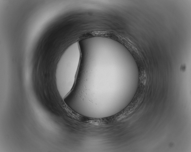 X0000095880763200801110804