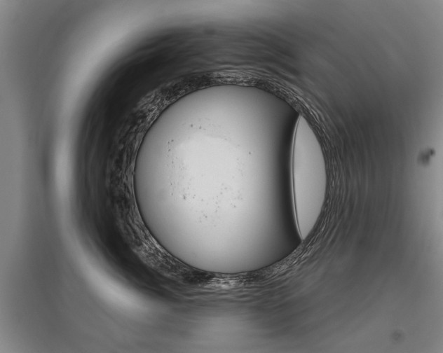 X0000095880764200801110804