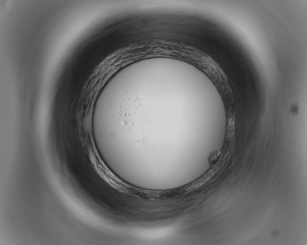 X0000095880765200801110804