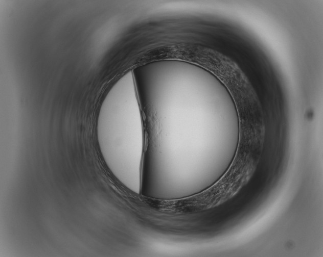X0000095880766200801110804