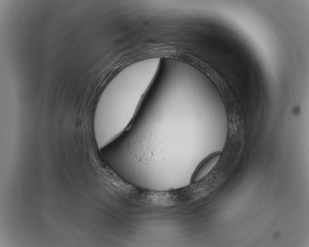 X0000095880767200801110804