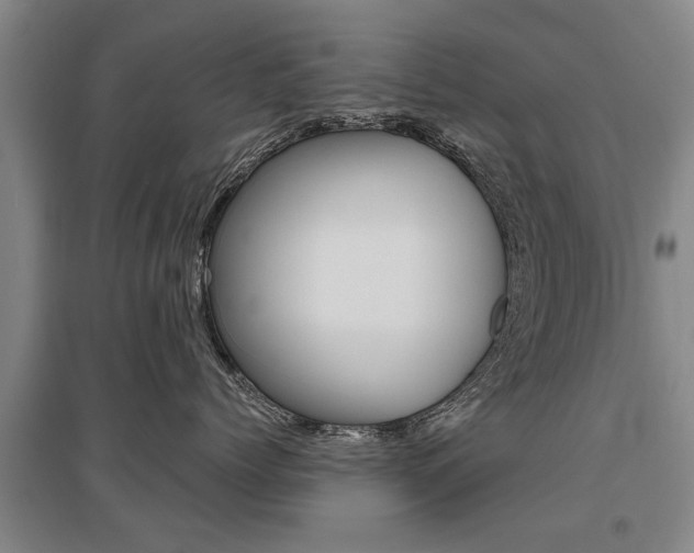 X0000095880768200801110804