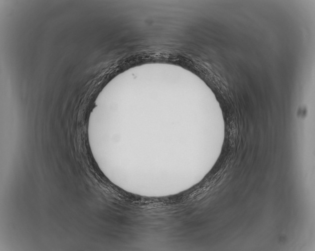 X0000095880769200801110804