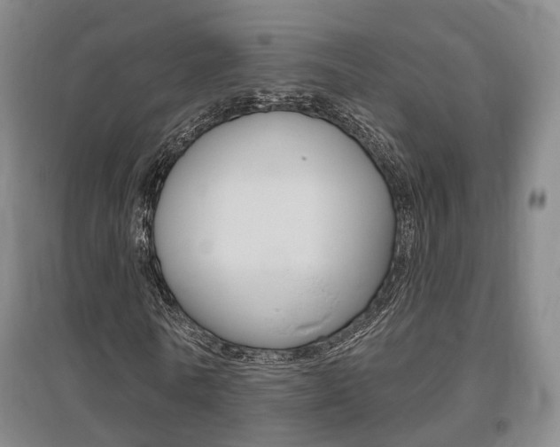 X0000095880770200801110804