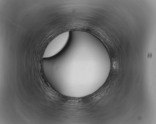 X0000095880771200801110804