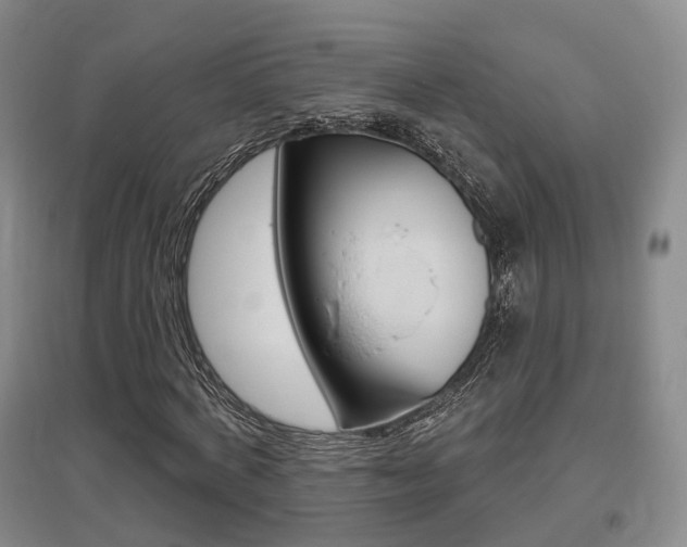 X0000095880772200801110804