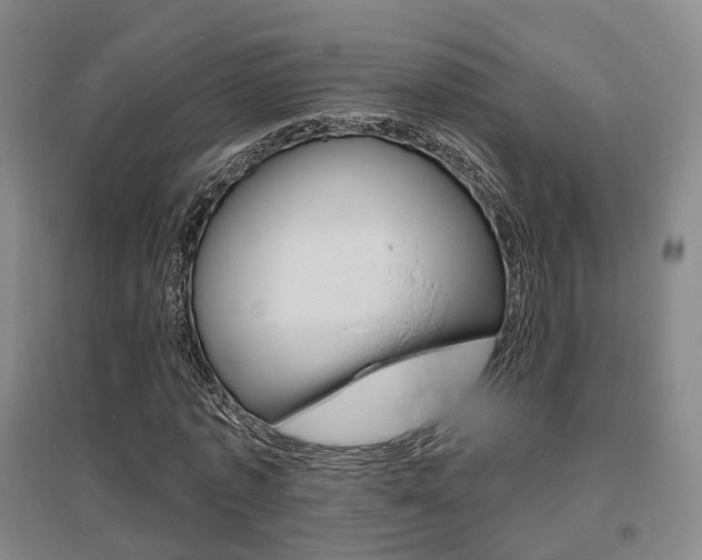 X0000095880773200801110804