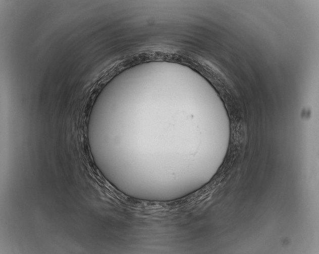 X0000095880774200801110804