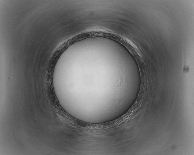 X0000095880775200801110804
