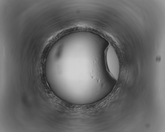 X0000095880776200801110804