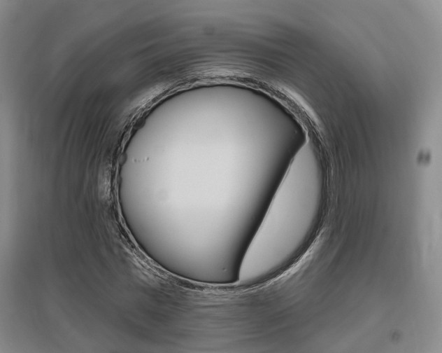 X0000095880777200801110804