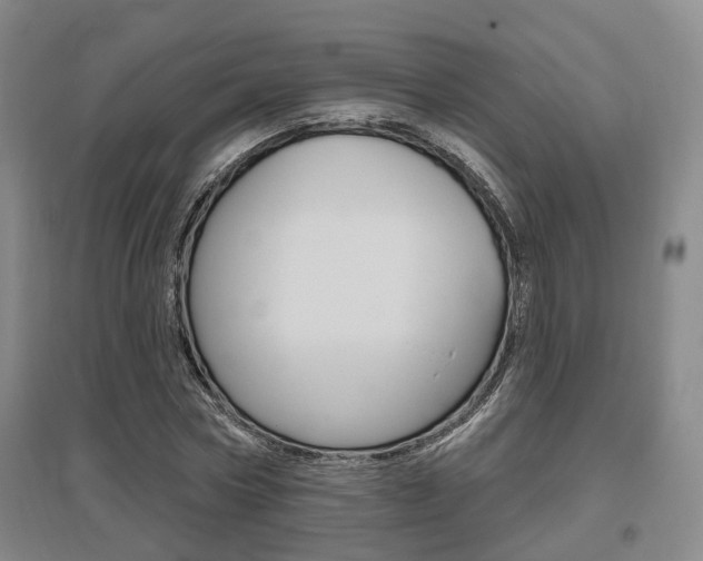 X0000095880778200801110804