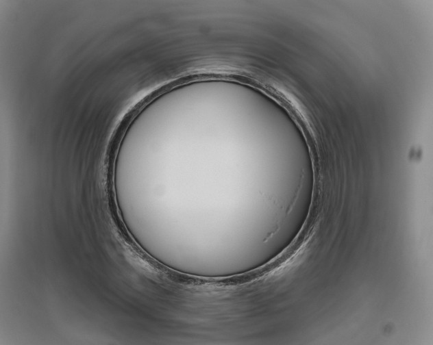 X0000095880779200801110804