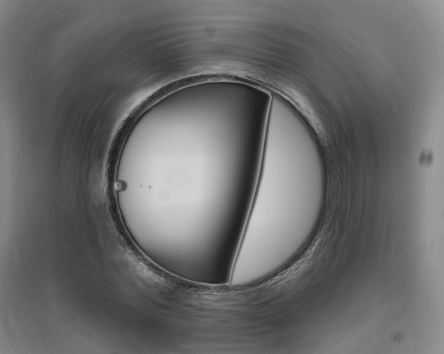 X0000095880780200801110804