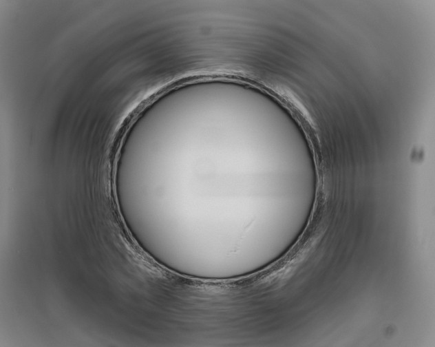 X0000095880781200801110804