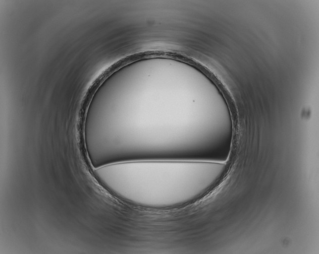 X0000095880783200801110804