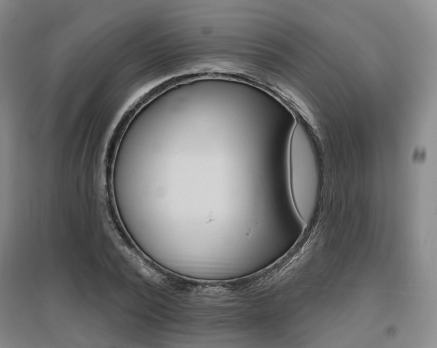 X0000095880784200801110804