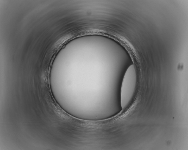 X0000095880785200801110804