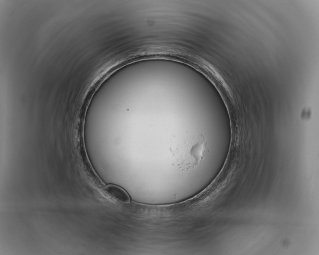 X0000095880786200801110804