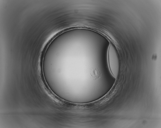 X0000095880788200801110803