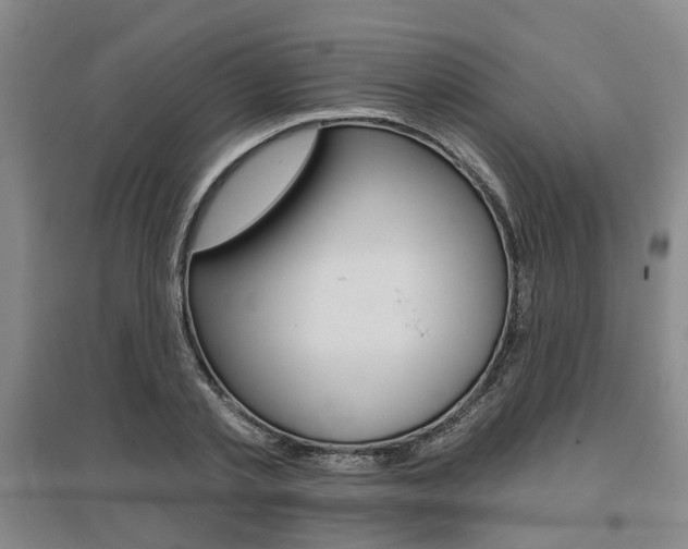 X0000095880789200801110803