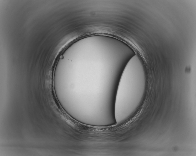 X0000095880790200801110803