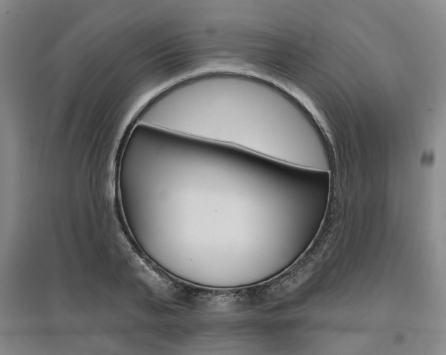 X0000095880791200801110803