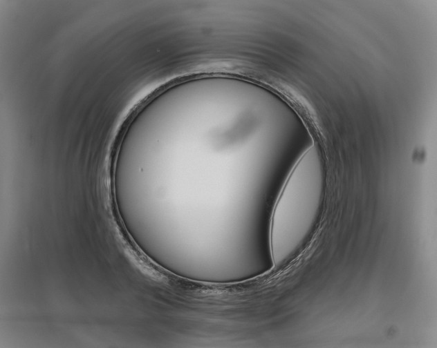 X0000095880792200801110803