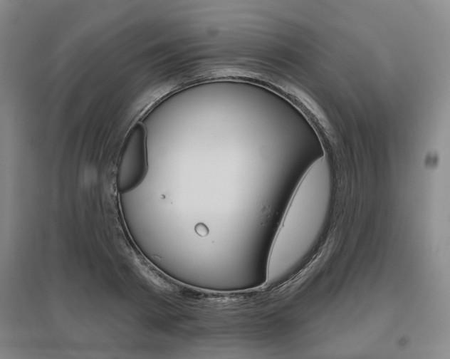 X0000095880793200801110803