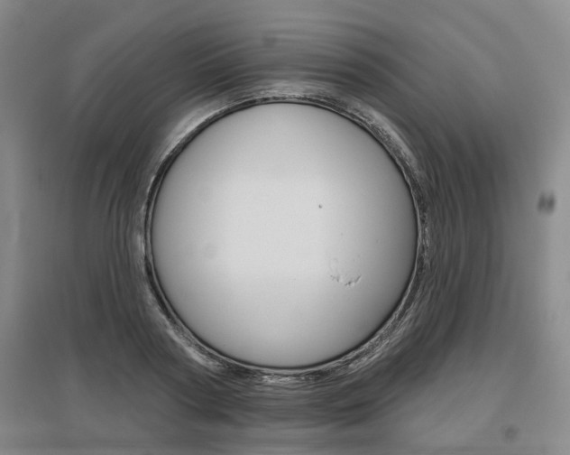 X0000095880794200801110803
