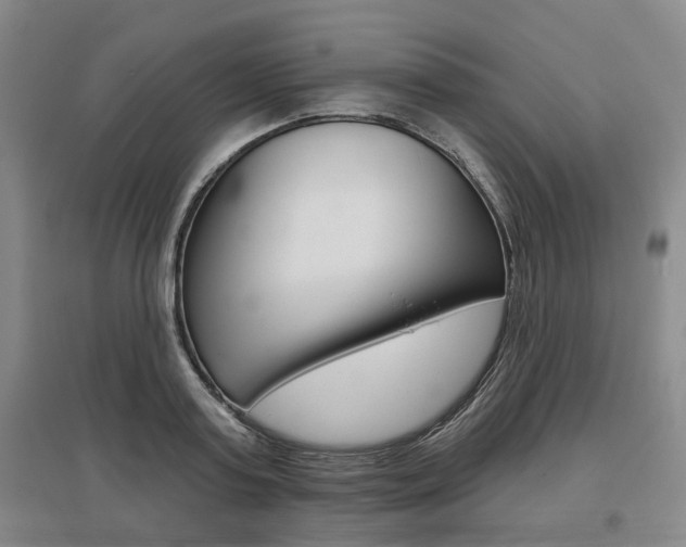 X0000095880795200801110803